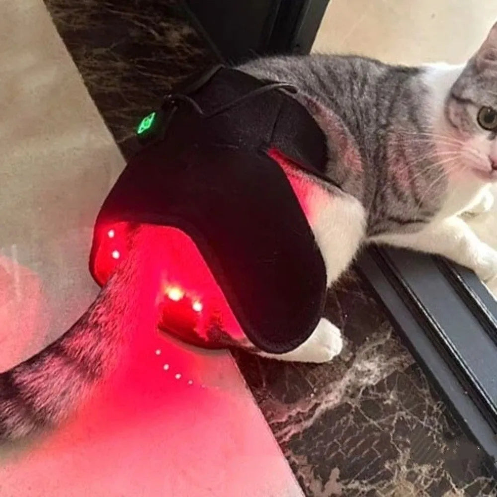 Automatic Timing Pet Red Light Recovery - MyPetDollar.com