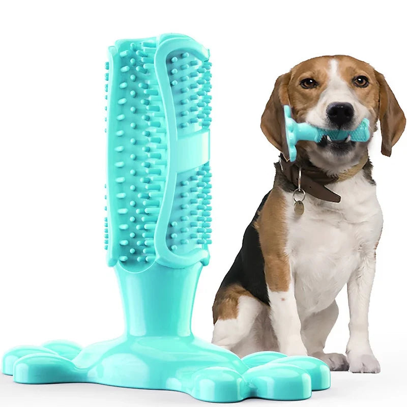 Dog Cactus Interactive Rubber Bite Resistant Chew Toys – Multiple Sizes & Colors