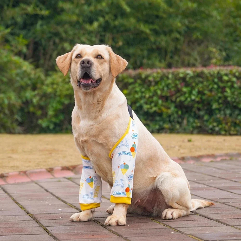 Pet Knee Pads for Joint Injury Recovery Legs - MyPetDollar.com