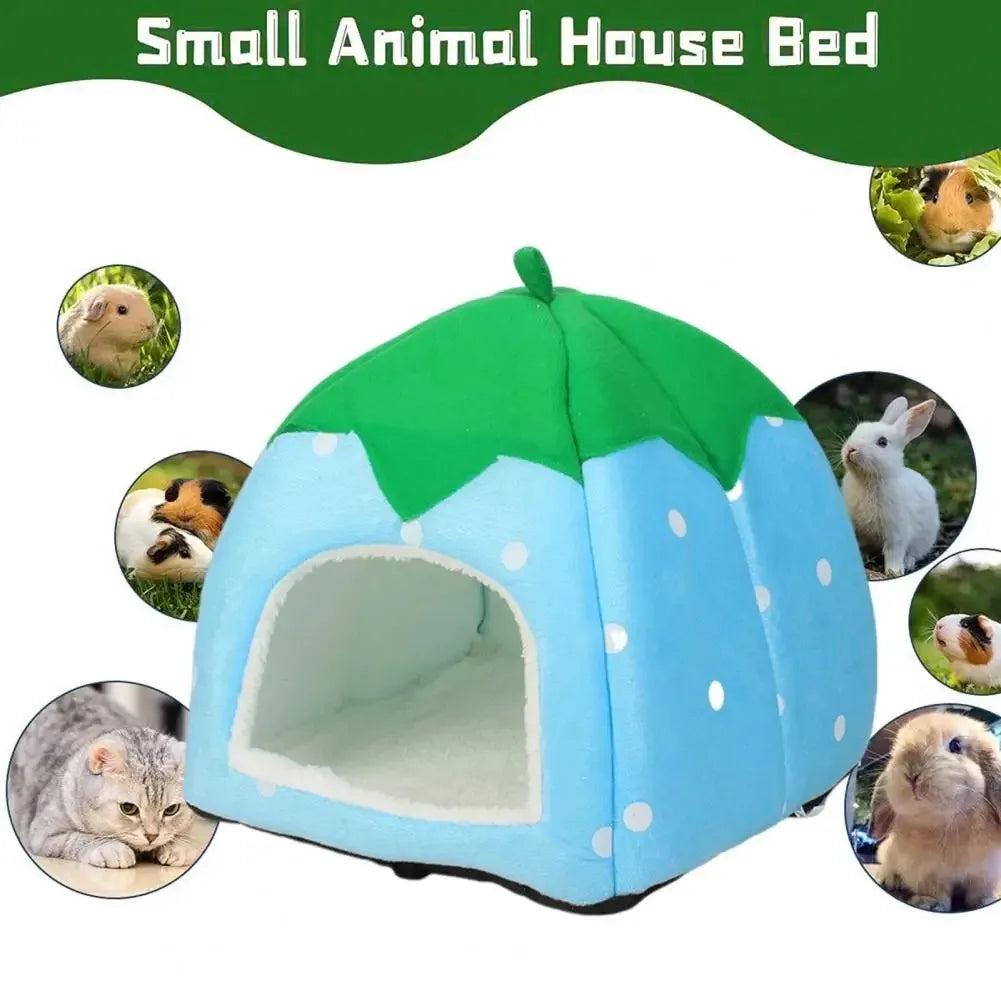 Bright Colored Pet Bed Space Pet Bed Cozy - MyPetDollar.com