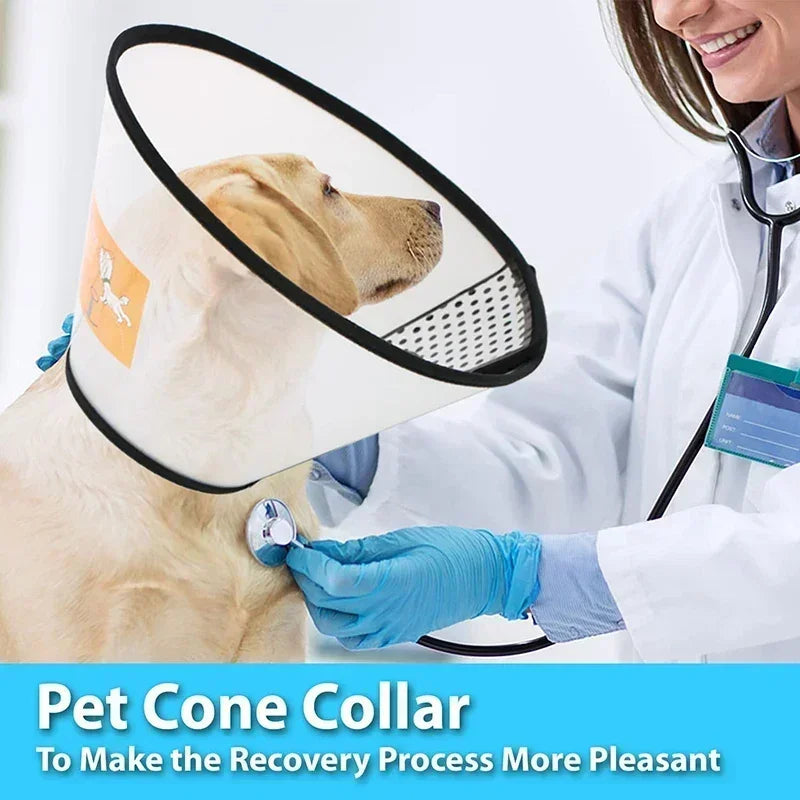 Pet Elizabeth Collar Puppy Anti Bite - MyPetDollar.com