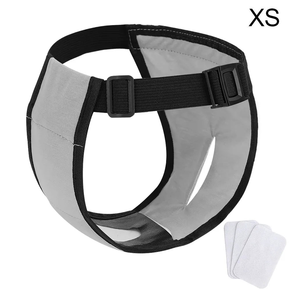 With 3 Cotton Pads Female Dog Panties Easy - MyPetDollar.com
