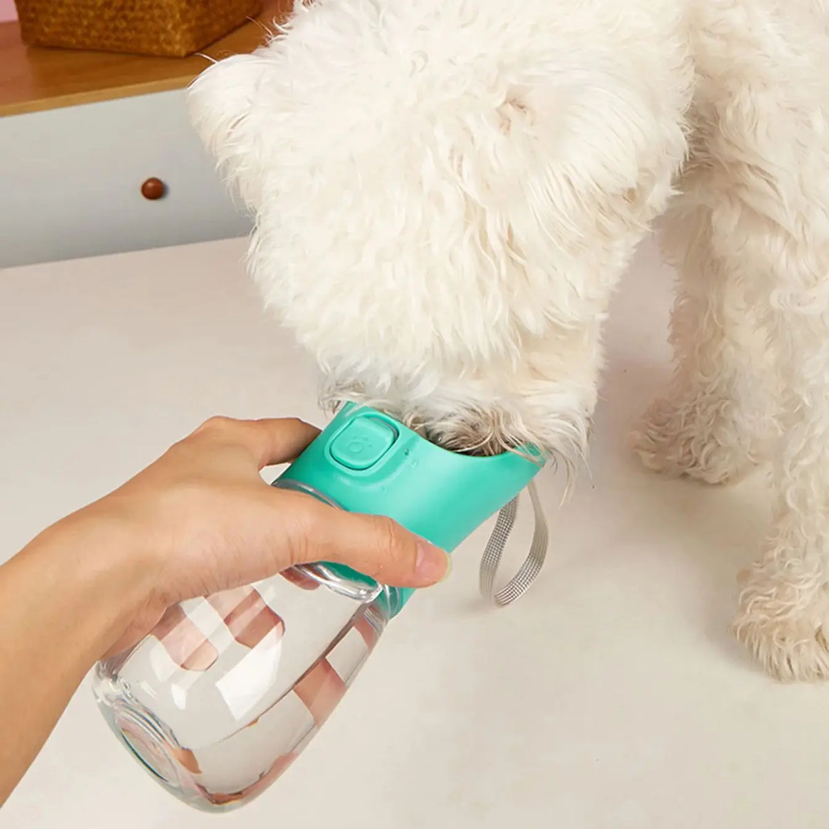 Pet Portable Big Dog Water Bottle for Small - MyPetDollar.com