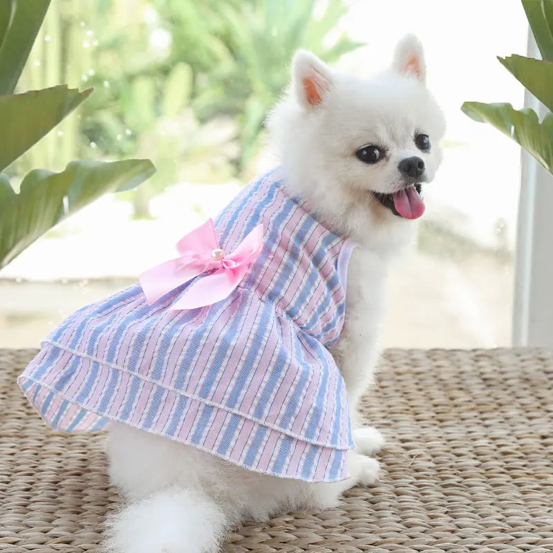 Small and Medium-sized Dogs, Spring and - MyPetDollar.com
