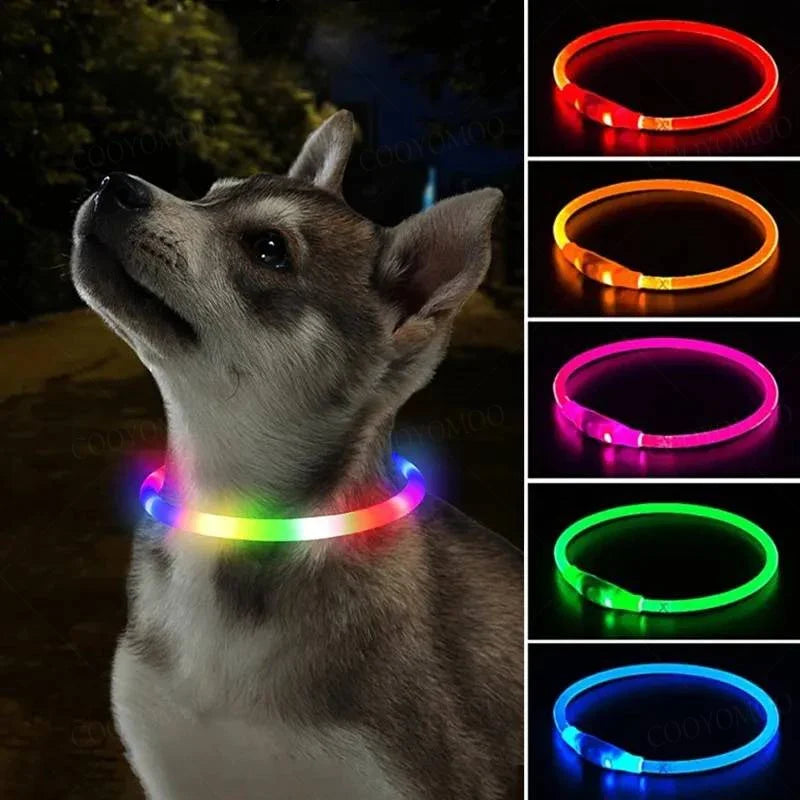 4 Modes Dog Luminou Charge Collar Led Usb - MyPetDollar.com