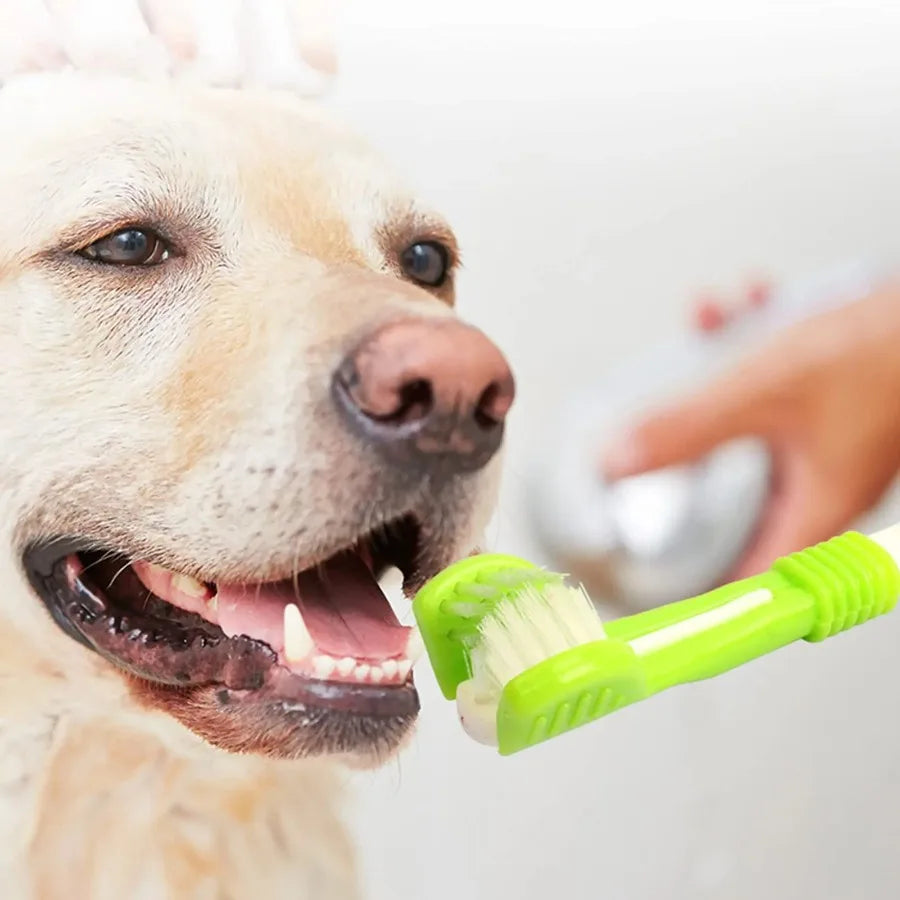 1pc 3 Sided Pet Toothbrush Plastic Triple - MyPetDollar.com
