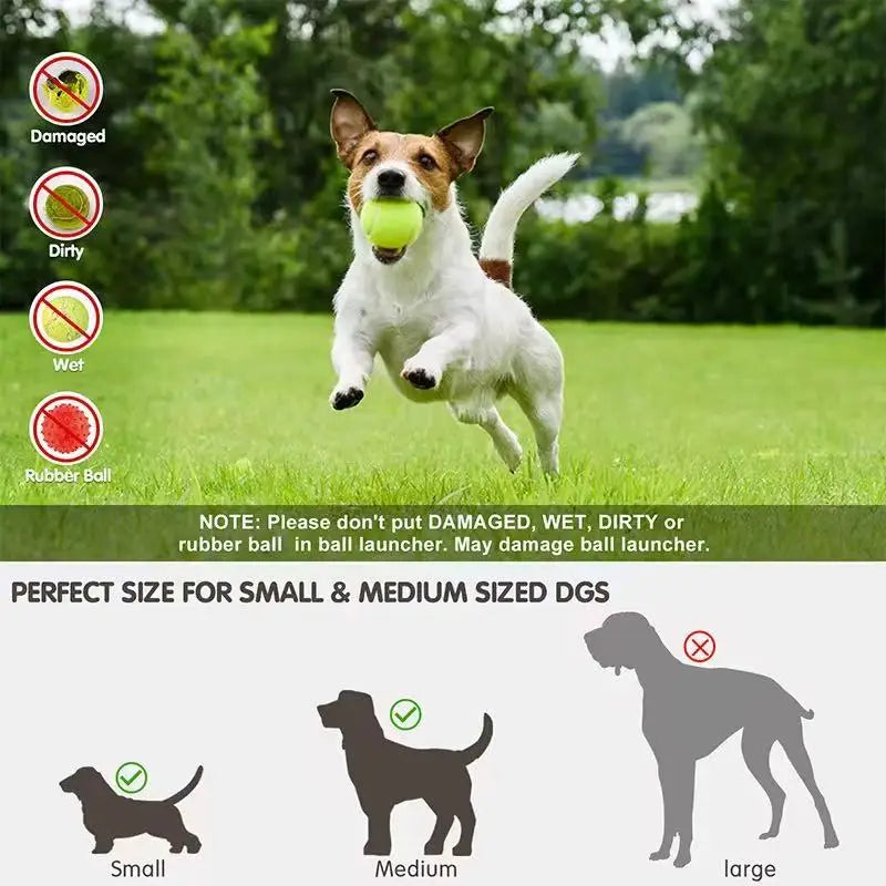 Outdoor Throwing Rechargeable Automatic Dog - MyPetDollar.com