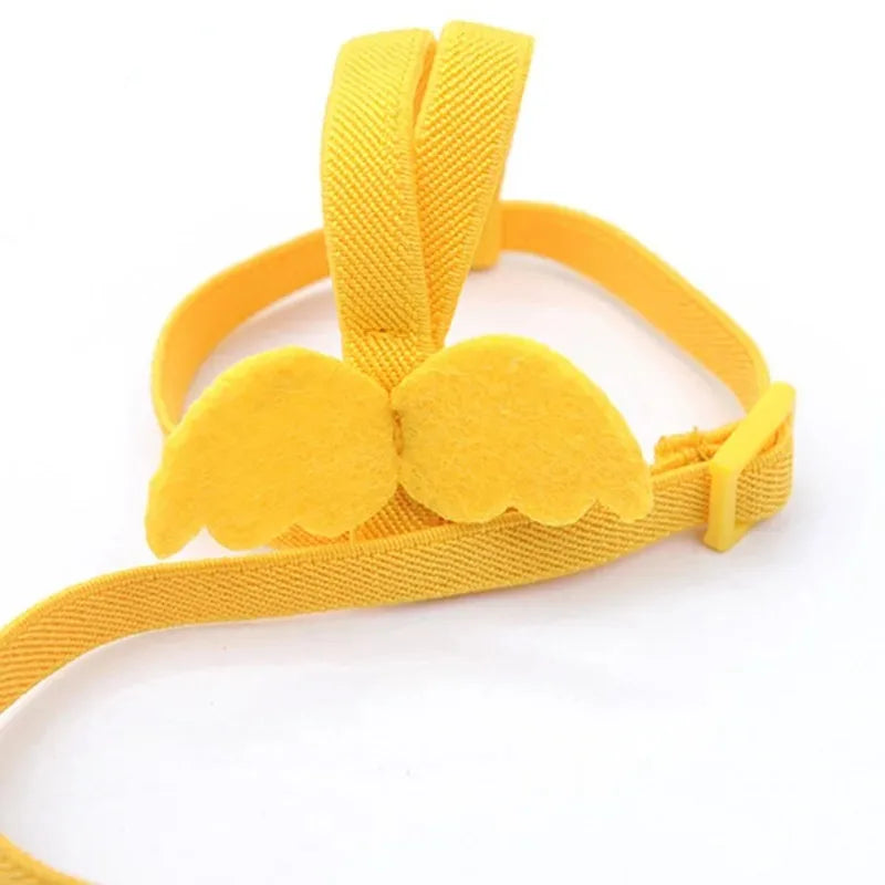 Birds Supplies Parrot Harness Leash Set