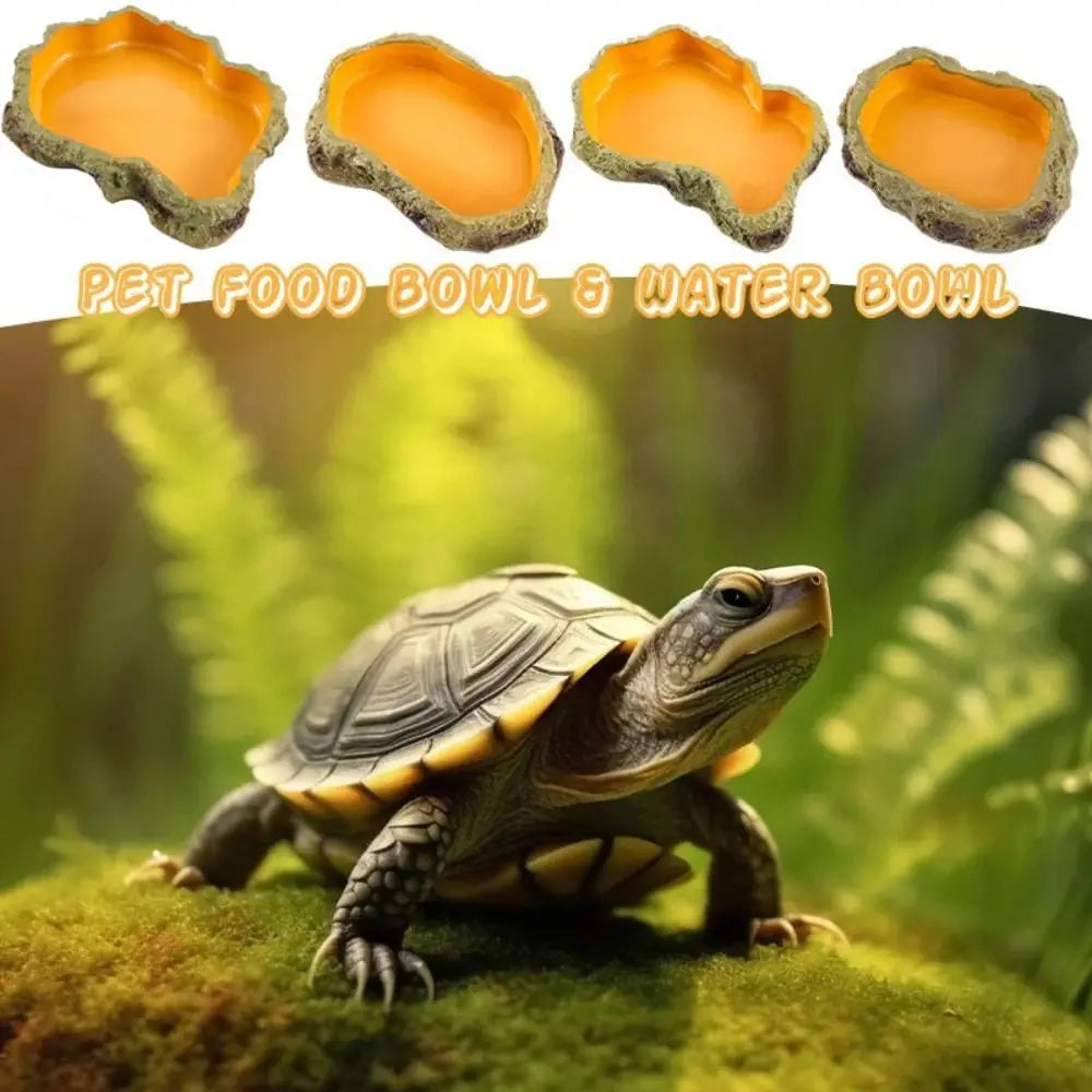 Resin Reptile Water Bowls Rock Simulation - MyPetDollar.com