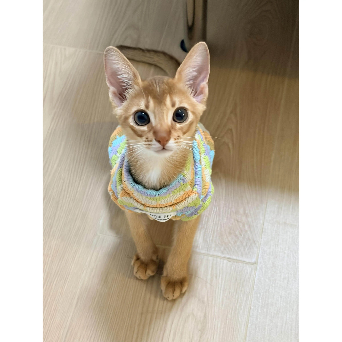 Thickened Warm Striped Sweater Vest Two Legs - MyPetDollar.com