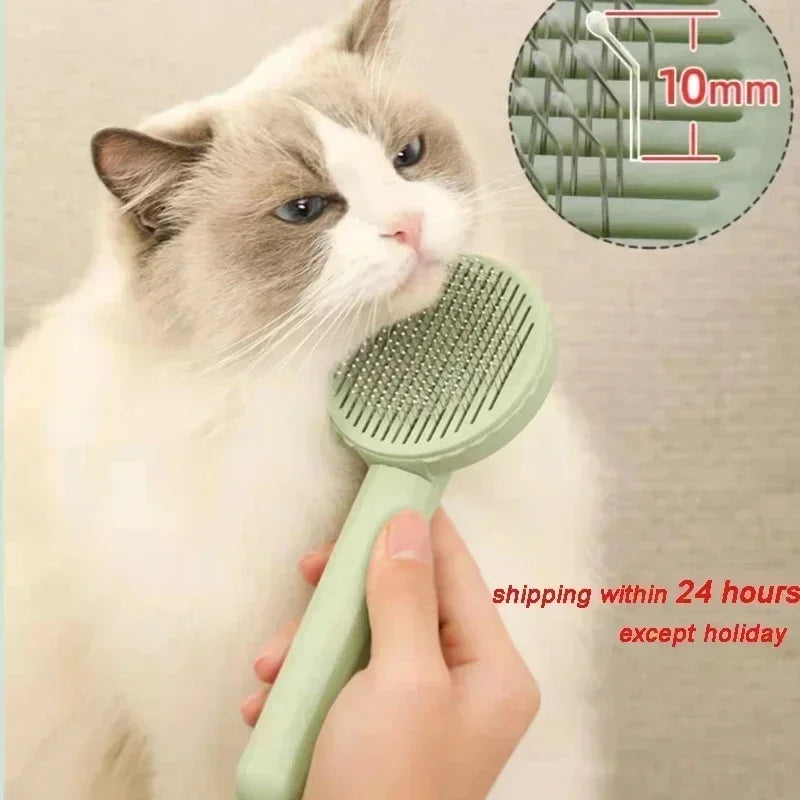 Cat Brush Pet Grooming Brush for Cats Remove - MyPetDollar.com