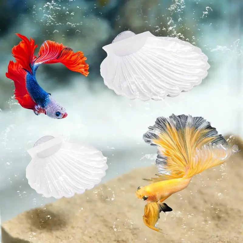 Betta Fish Shell Spawning Rest Platform With - MyPetDollar.com