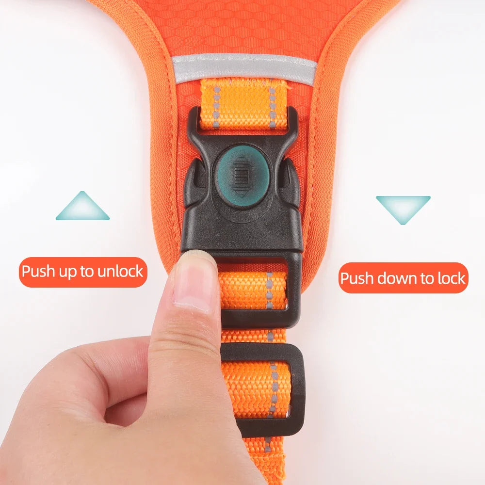 Pet Harnesses Medium Large Dog Labrador - MyPetDollar.com