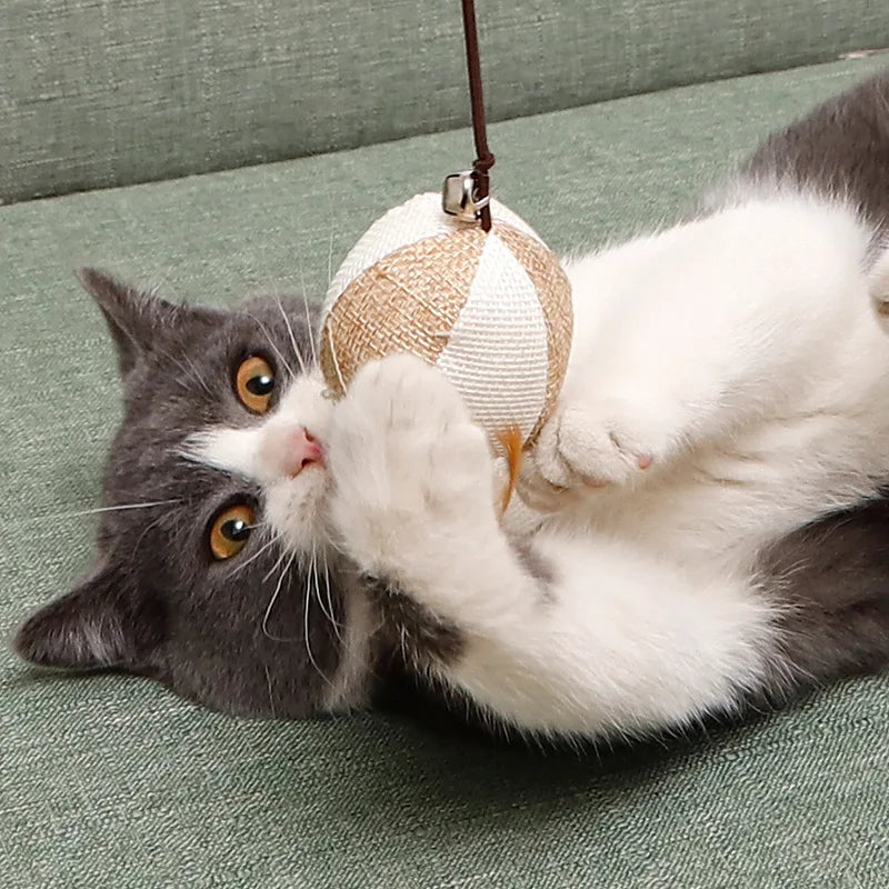 1PC Teaser Feather Toys Kitten Funny - MyPetDollar.com