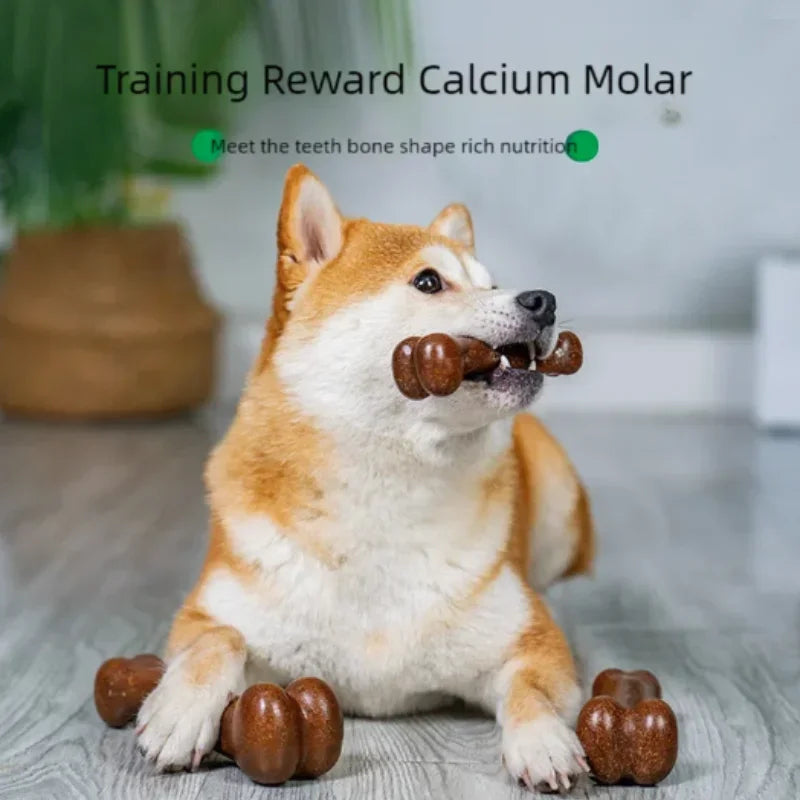 Natural Non-Toxic Dog Bone Chew Toy Nearly - MyPetDollar.com