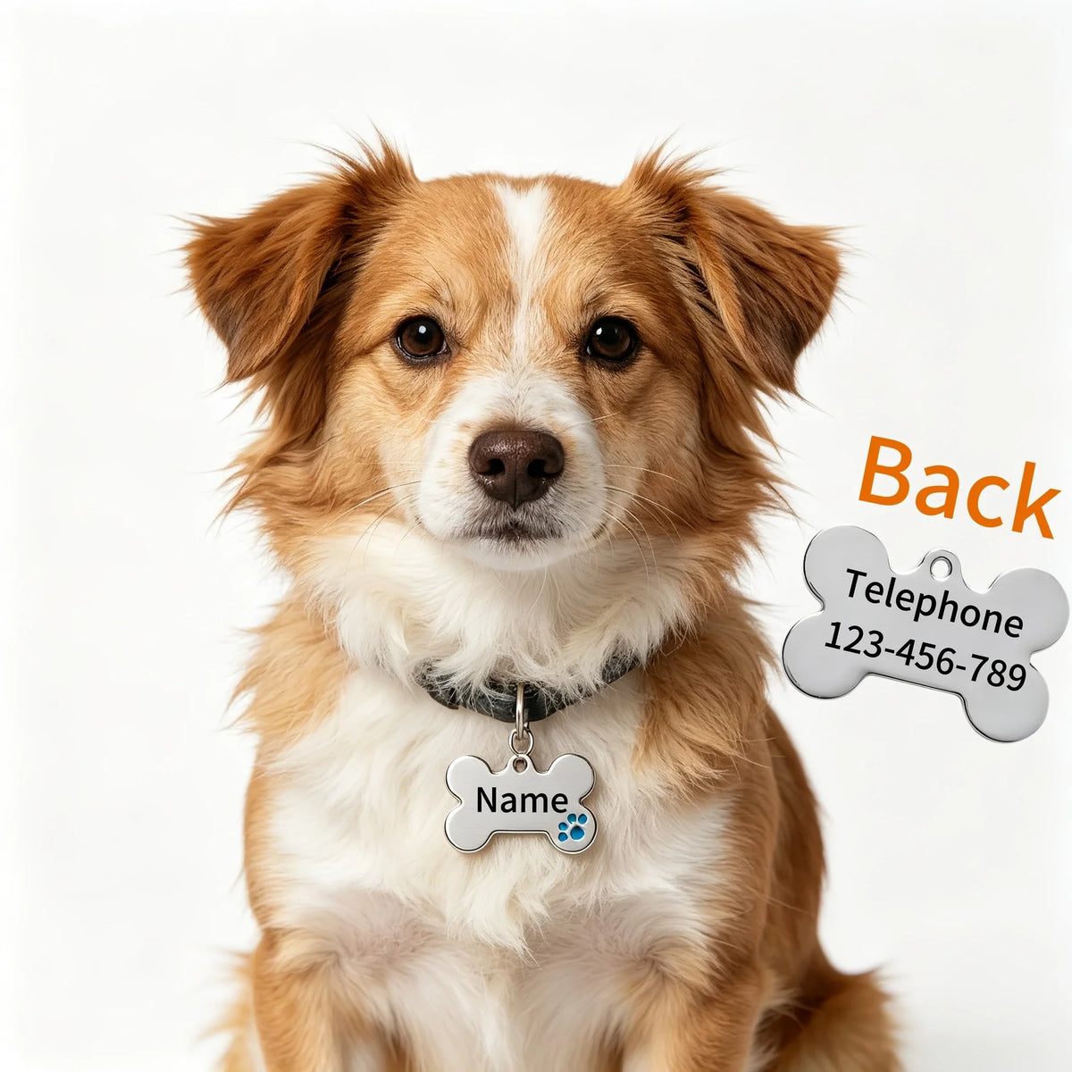 Customized Bone Shape Pet Surname Tag, - MyPetDollar.com