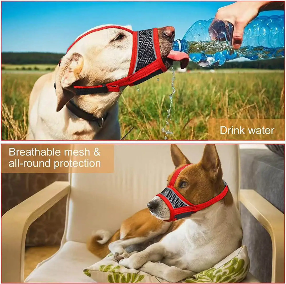 Dog Muzzle Breathable Drinkable Mesh Muzzle - MyPetDollar.com
