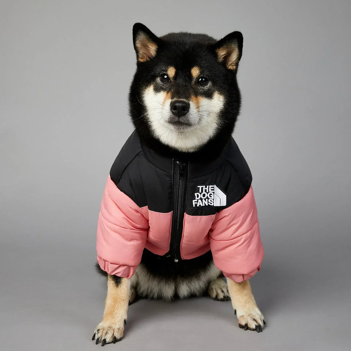 The Dog Fans Winter Pet Dog Down Jacket - MyPetDollar.com