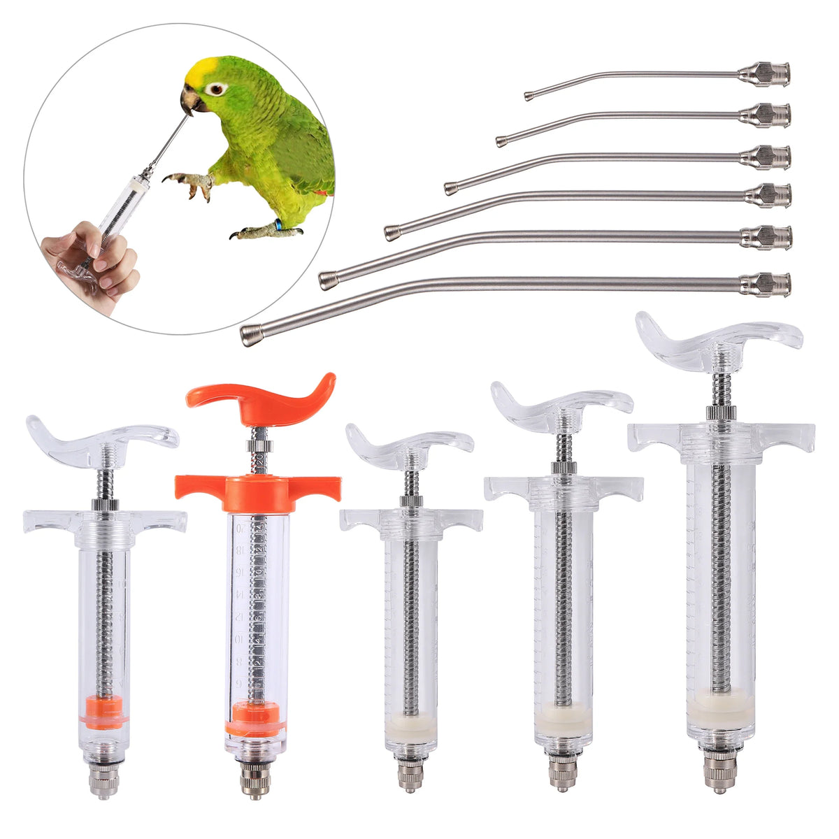 Pet Pigeon Parrot Bird Feeding Syringe - MyPetDollar.com