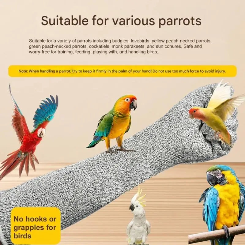 Soft Loofah Glove For Bird Admirers Avoids - MyPetDollar.com