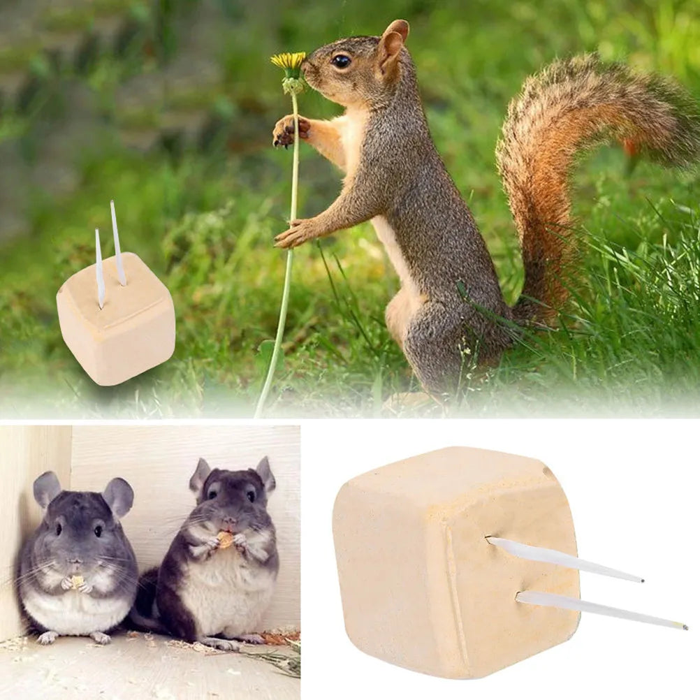 Mineral Calcium Chew Stone for Small Rodents - MyPetDollar.com