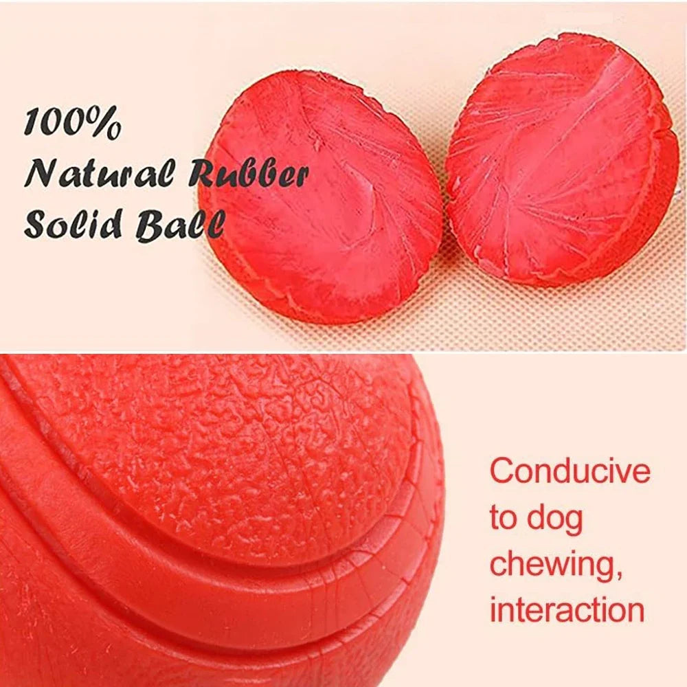 Pet Solid Elastic Toy Ball Cat/Dog Toy Ball - MyPetDollar.com