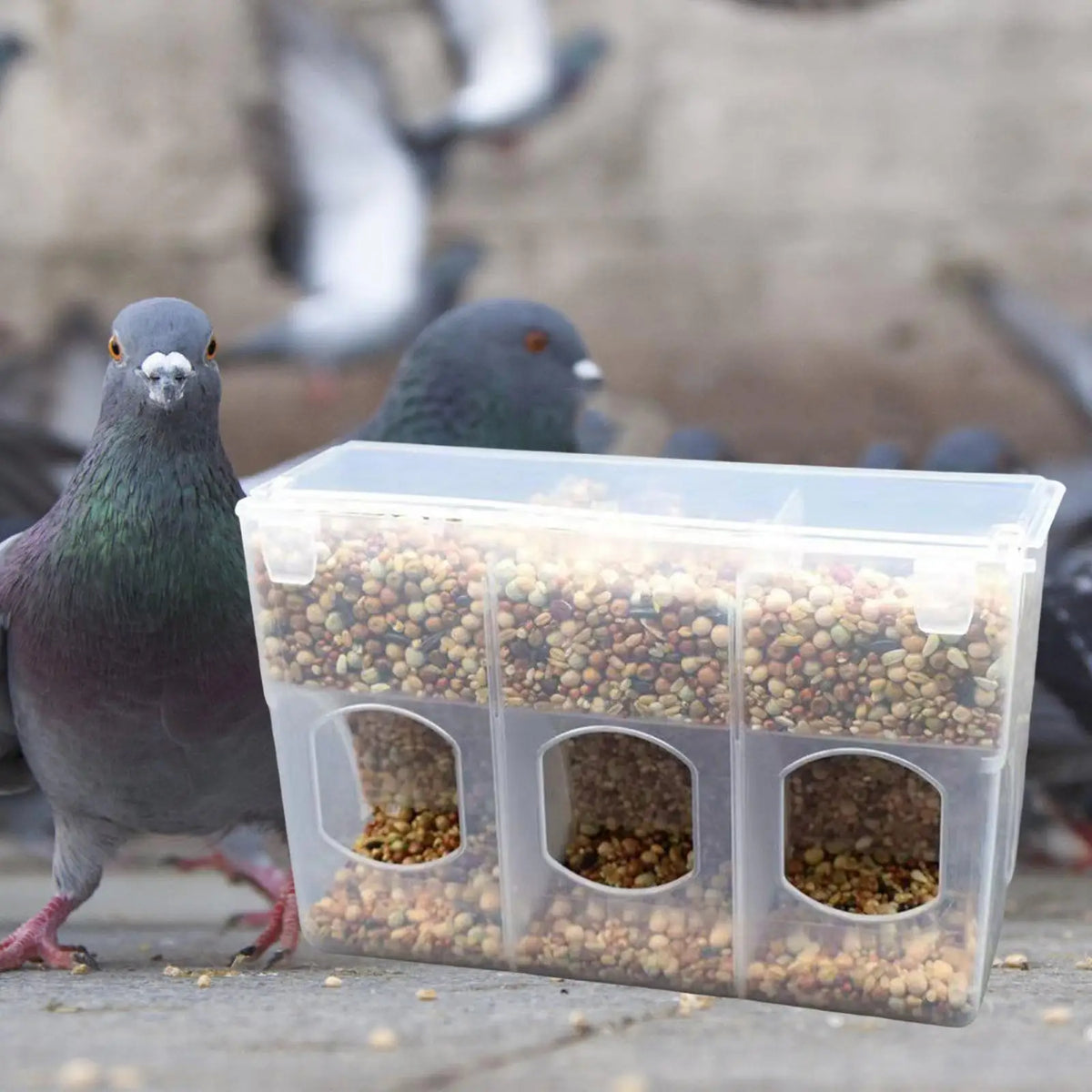 Automatic Bird Feeder Slot Feeder for Cage - MyPetDollar.com