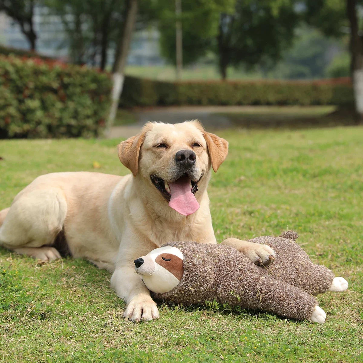 Halloween Themed Plush Dog Toys – 6 Colors