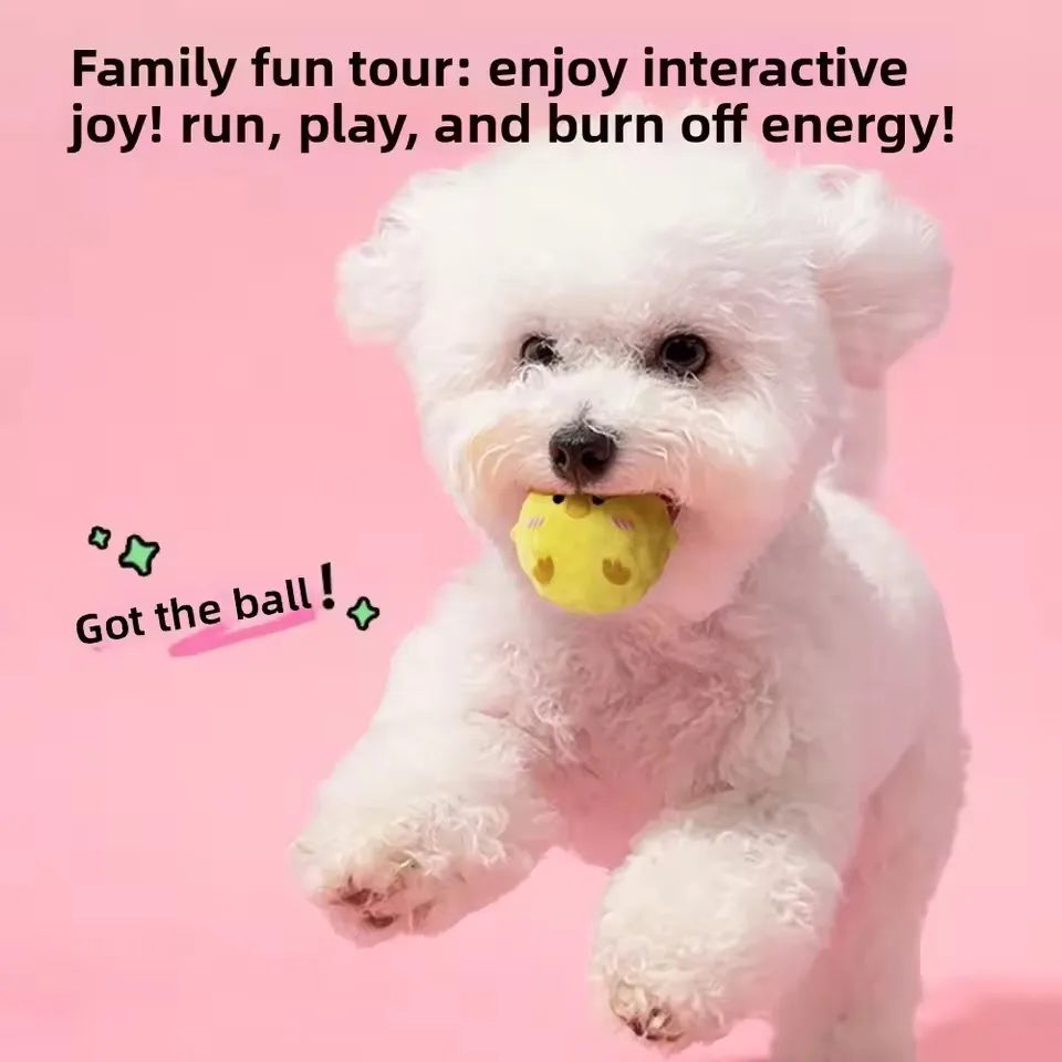 TPR Pet Dog Chew Toy Ball, Bite Resistant - MyPetDollar.com