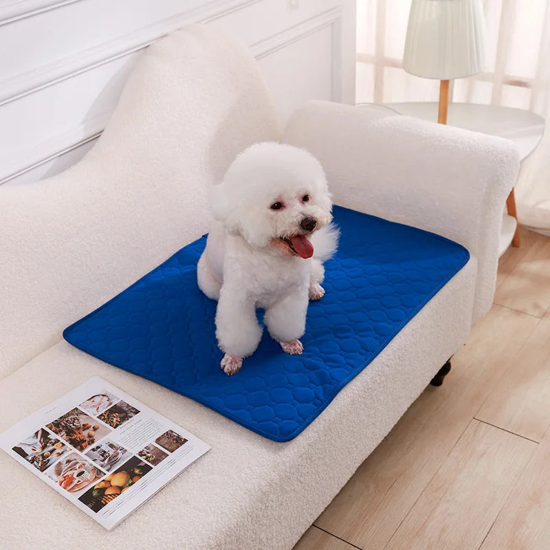 Reusable Washable Dog Pee Pad Blanket Super - MyPetDollar.com