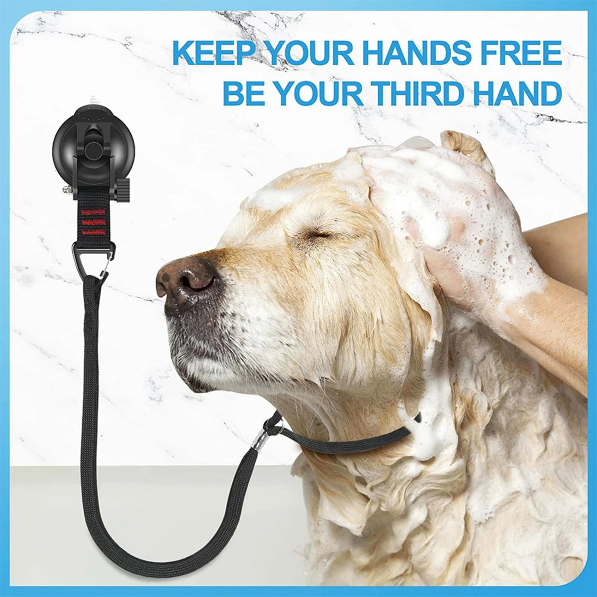 Pet Grooming Loops Dog Bathing Fixer - MyPetDollar.com