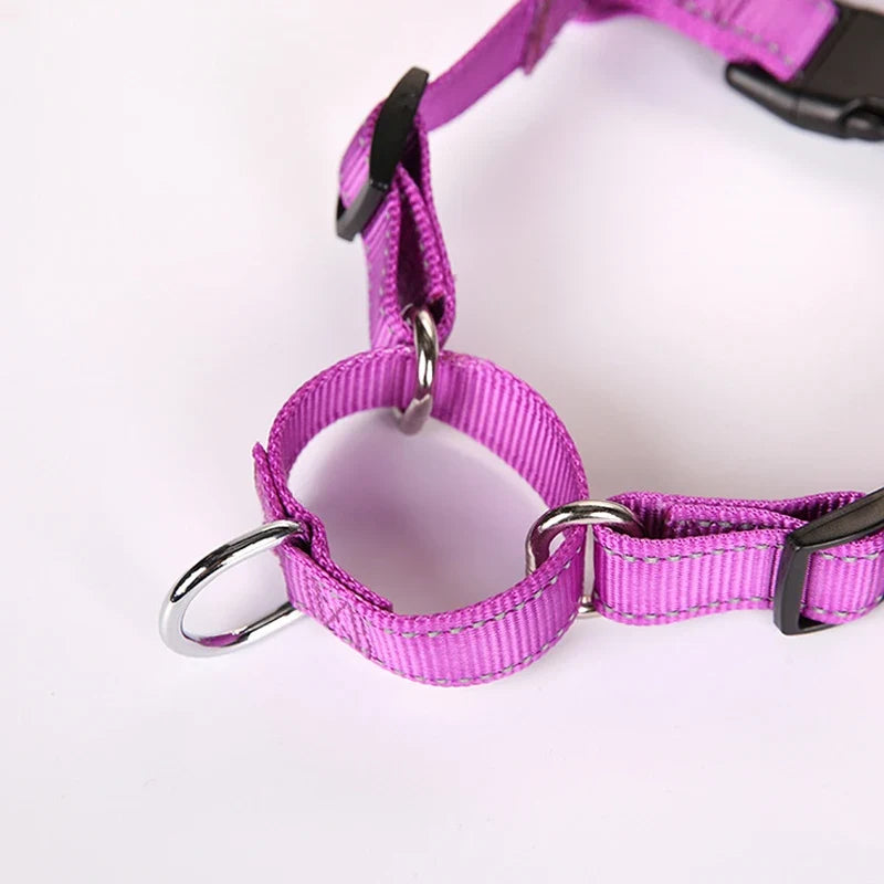 No Pull Dog Harness for Medium Large Dogs - MyPetDollar.com