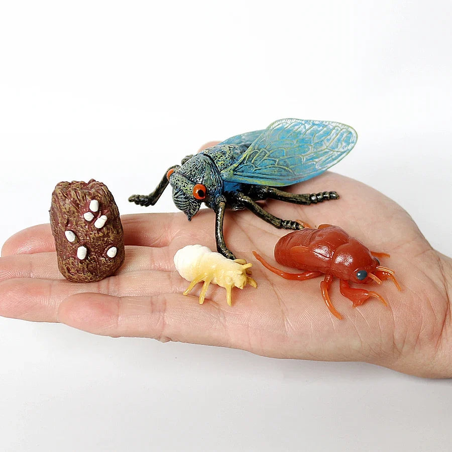 Realistic Insect Grasshopper Mosquito Cicad - MyPetDollar.com