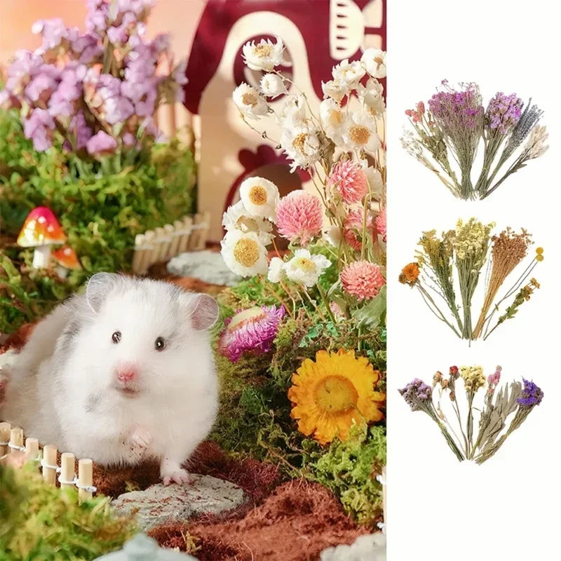 Handcrafted Hamster Cage Decors Dried Flower - MyPetDollar.com