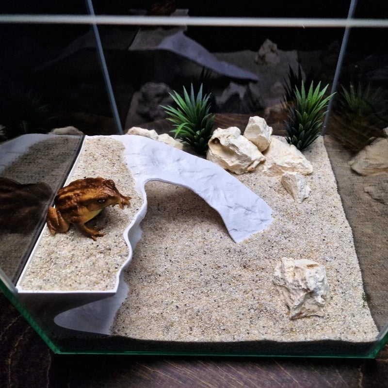 Multi-Functional 3D Printed Tidal Basking - MyPetDollar.com