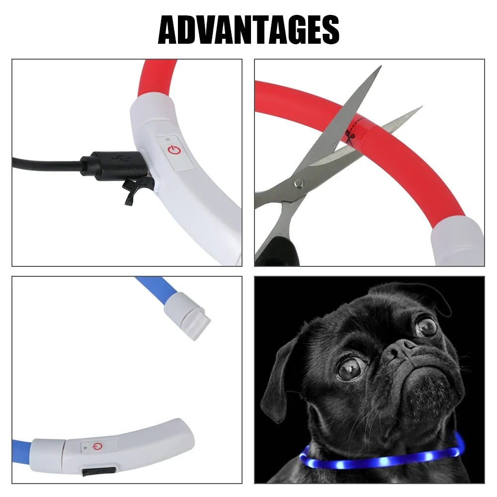 Dog Loss Prevention Led Usb Dog Collar Pet - MyPetDollar.com