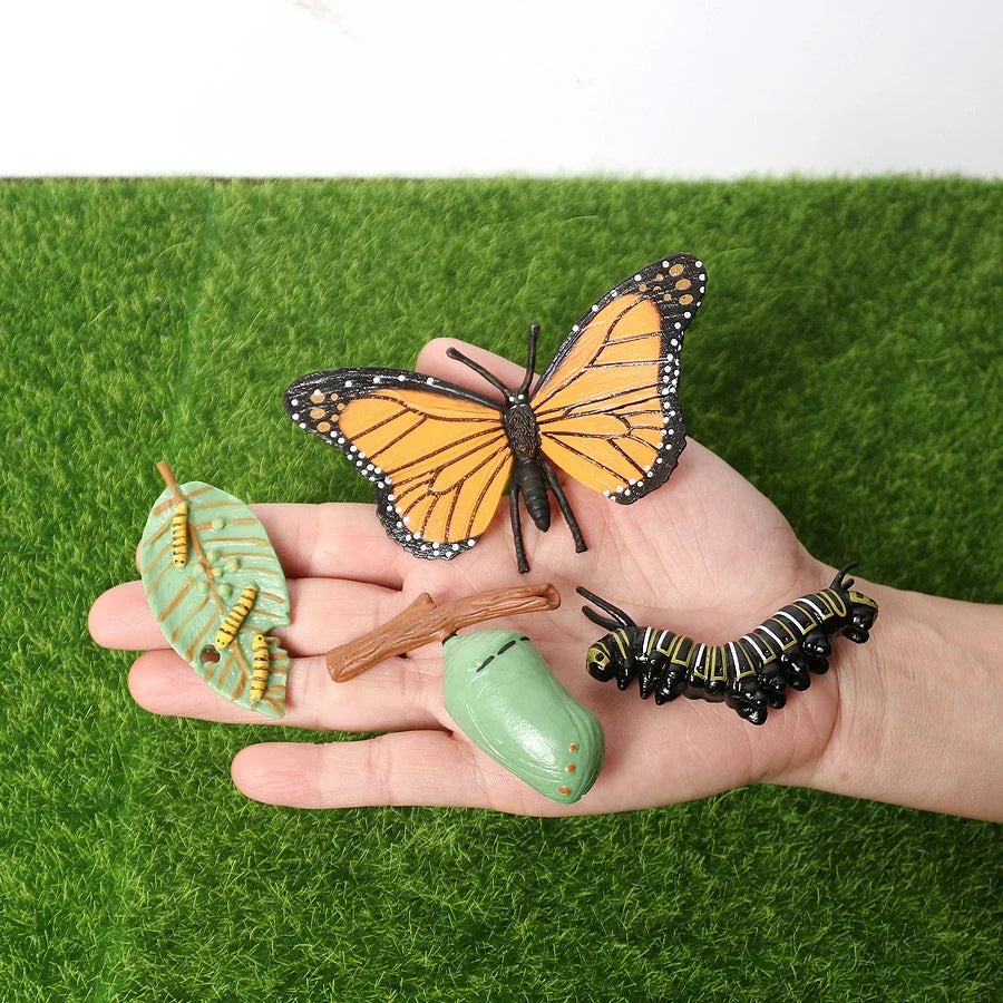 Realistic Insect Grasshopper Mosquito Cicad - MyPetDollar.com