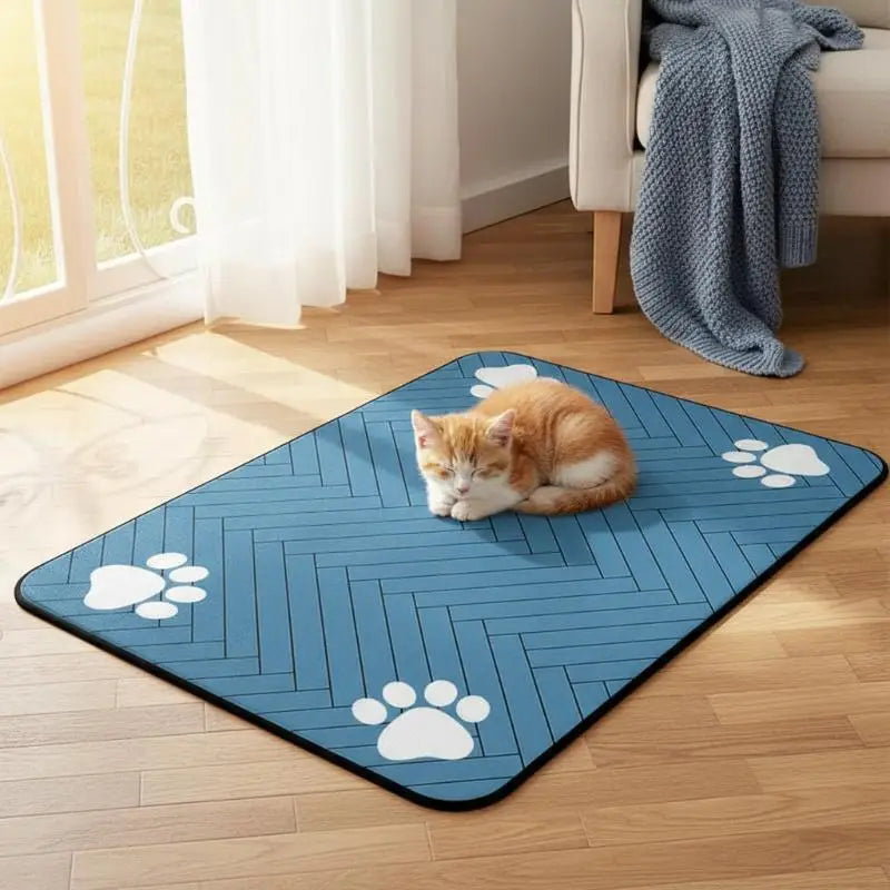 Pet Placemat Diatomaceous Mud Material - MyPetDollar.com