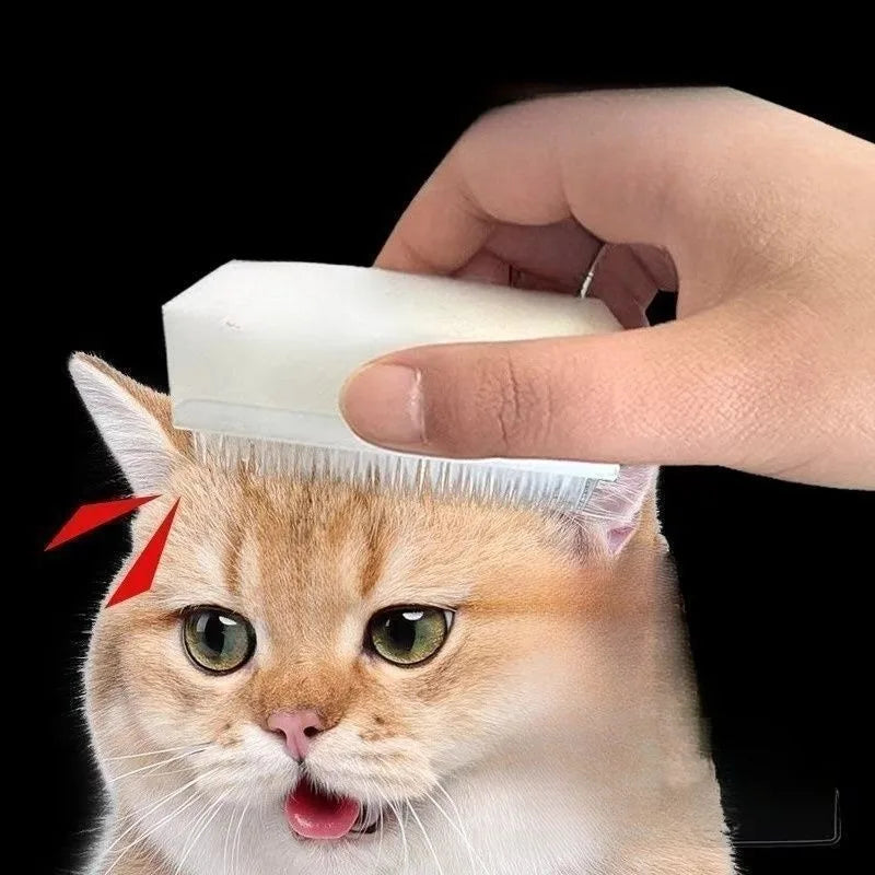 Cat Massage Brush Tongue Sensory Cleaning - MyPetDollar.com