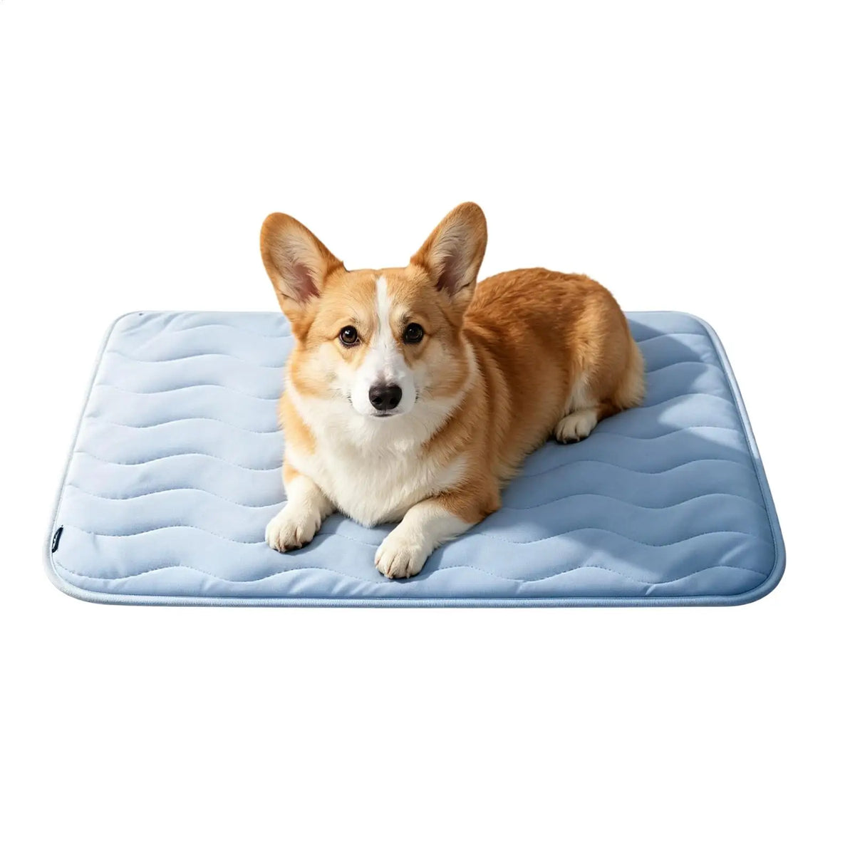 Cooling Mat for Dogs Breathable Washable - MyPetDollar.com