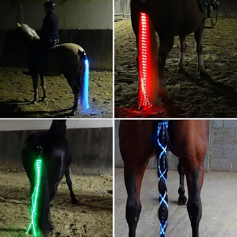 Horse Equipment Riding Tail Trappings - MyPetDollar.com