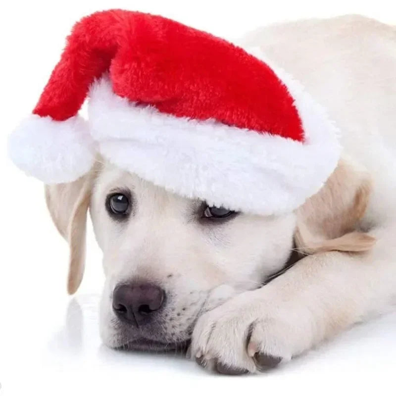 Christmas Pet Santa Hat Red Plush Soft - MyPetDollar.com