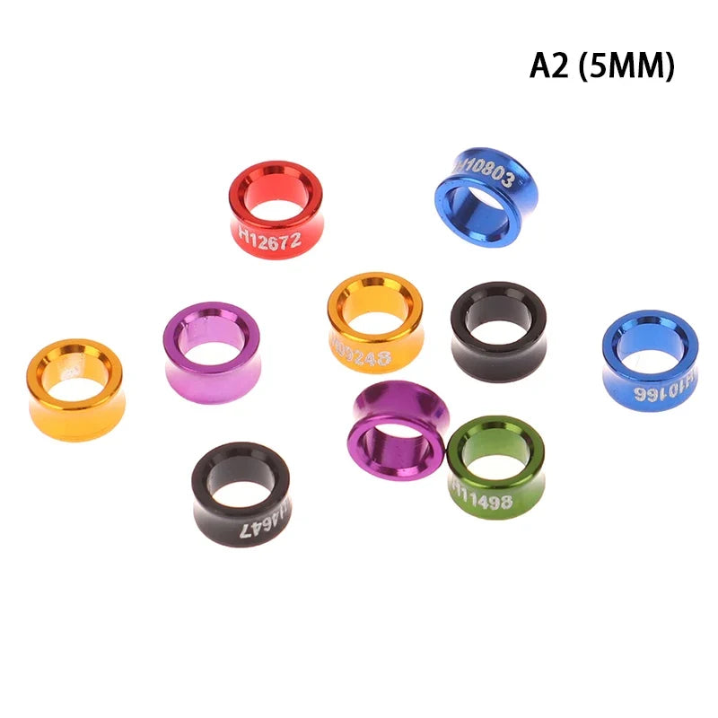 Outdoor Bird Flying Training Ring – 5 Colors