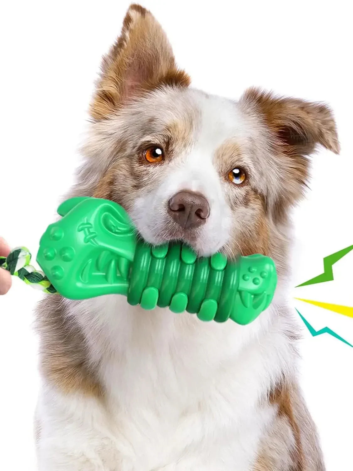 Large Breed Dog Toys for Aggressive Chewers - MyPetDollar.com