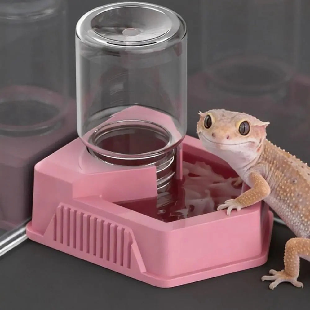New Automatic Reptile Water Dish Multi-size - MyPetDollar.com