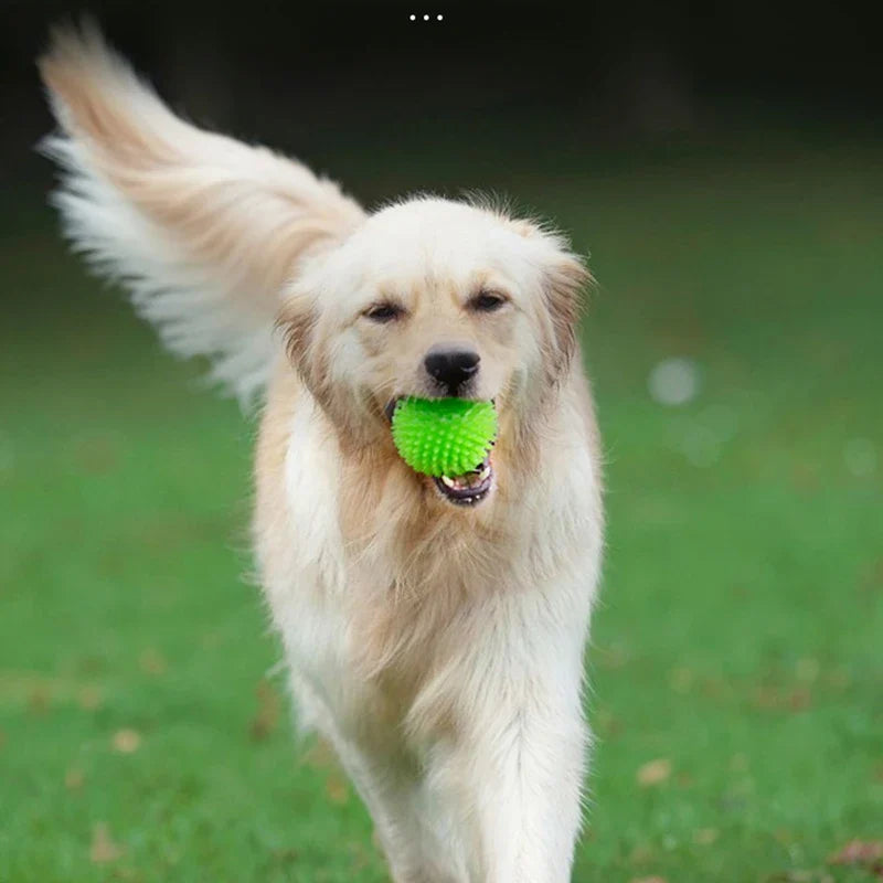 High Elasticity French Bulldog Pet Play Ball - MyPetDollar.com