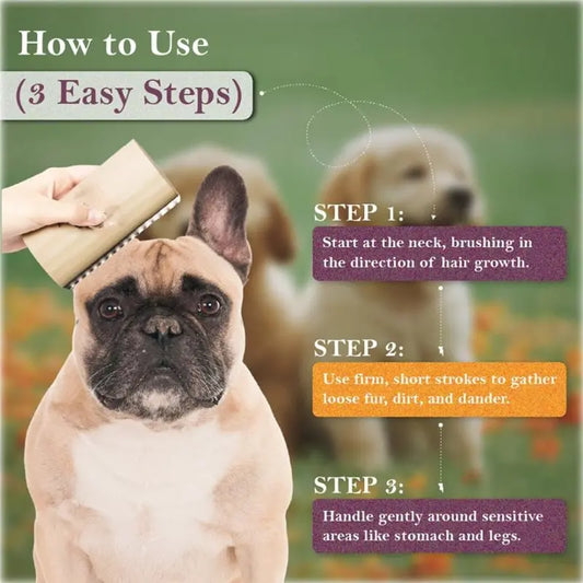 Pet Deshedding Grooming Brush – Metal Teeth - MyPetDollar.com