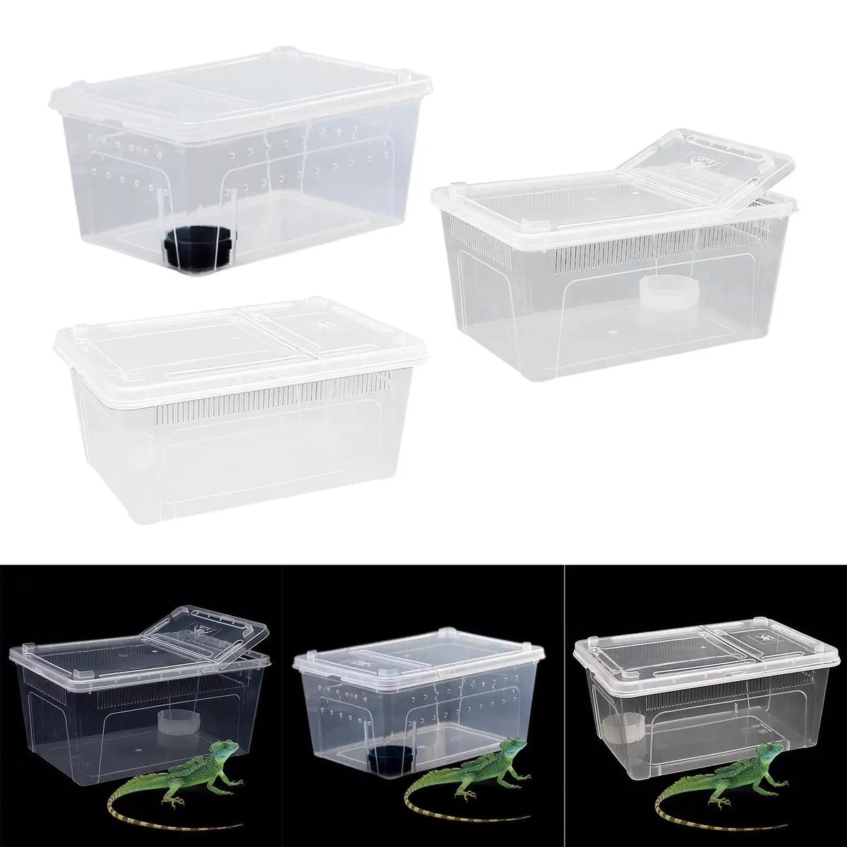 Clear Terrarium Habitat Breeding Box Turtle - MyPetDollar.com