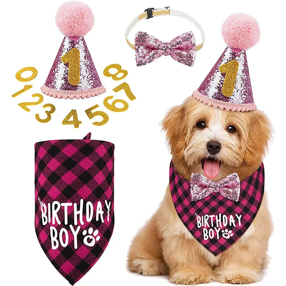 Pets Dog Happy Birthday Decoration Dog - MyPetDollar.com