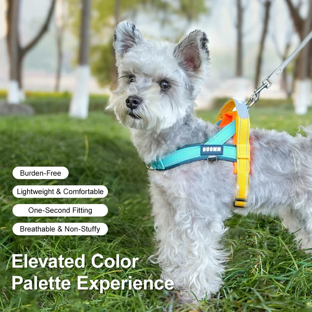 Saddle-Style Dog Harness with Handle - MyPetDollar.com